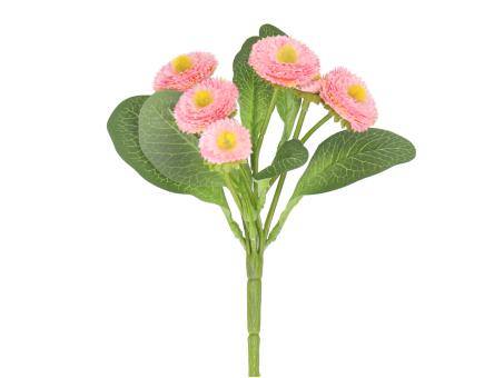 Bellis Pflanze x6 H21cm