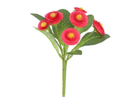 Bellis Pflanze x6 H21cm