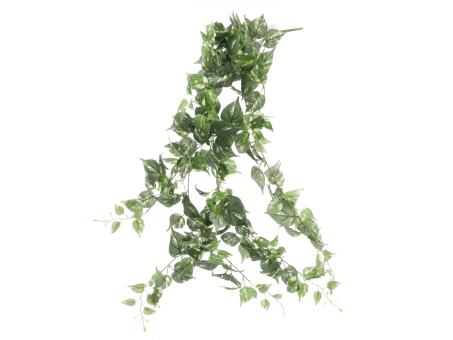 Busch Hänger Pothos x8 234Blatt L130cm