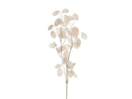 Zweig Lunaria L76cm