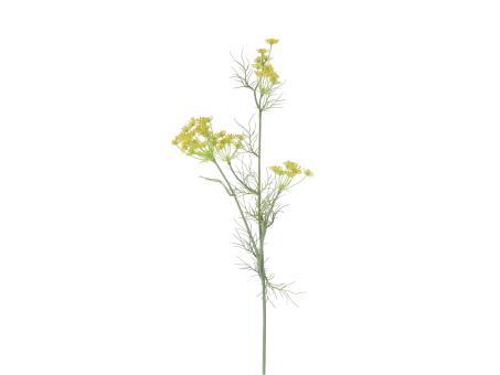 Dillzweig L78cm
