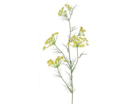 Dillzweig L120cm