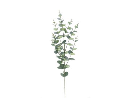 Eucalyptus L95cm