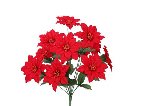 Busch Poinsettia Velvet D12/30 L45cm