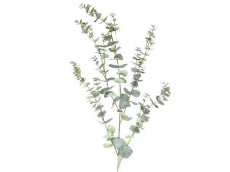 Eucalyptus extra x5 coated natural touch L145cm