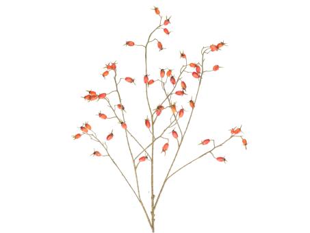 Zweig Hagebutte x3 48Beeren L106cm