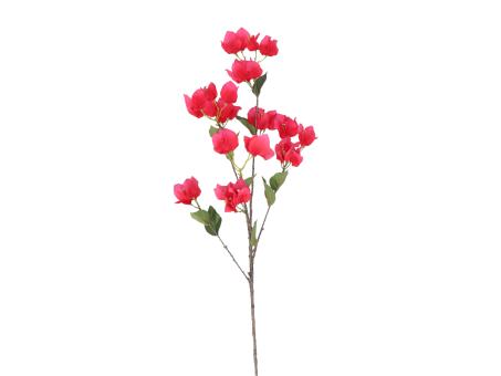 Zweig Bougainvillea x3 L100cm