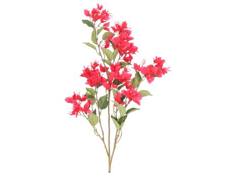 Zweig Bougainvillea x5 L120cm