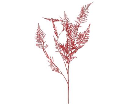 Asparagus Plumosus KST L88cm