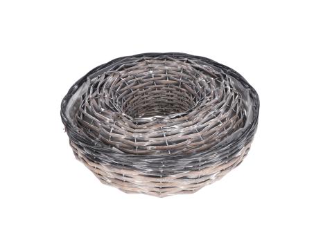 Pflanzring Spaltweide 2tone Set2 