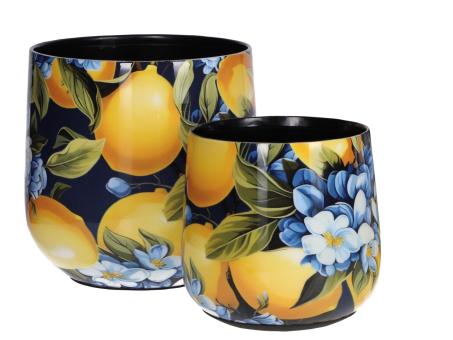 Topf Metall Druckmotiv Set2 Zitrone-Blüten emailliert 