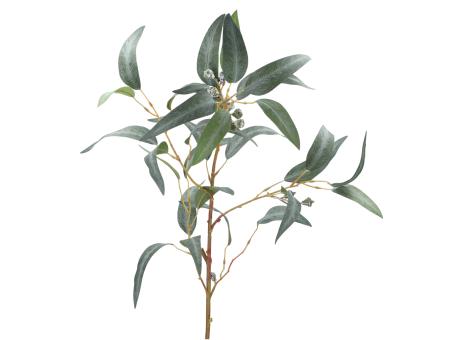 Zweig Eucalyptus m Frucht L99cm