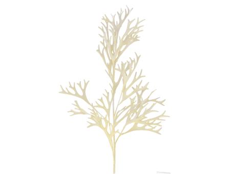 Zweig Staghorn Essigbaum L77cm