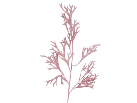 Zweig Staghorn Essigbaum L77cm