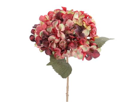 Hortensie L65cm