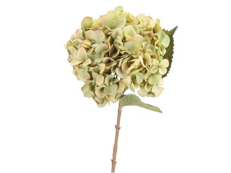 Hortensie L65cm
