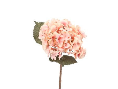 Hortensie shortstem L46cm