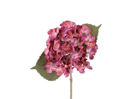 Hortensie shortstem L46cm