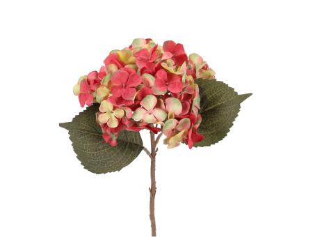 Hortensie shortstem L46cm