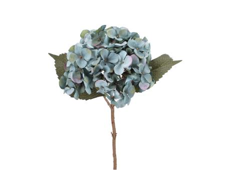 Hortensie shortstem L46cm
