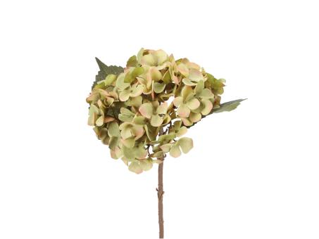 Hortensie shortstem L46cm