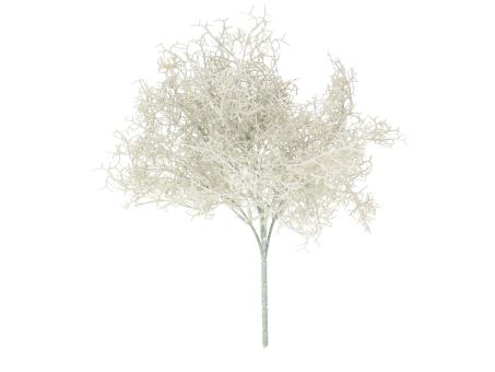 Pick Calocephalus L37cm