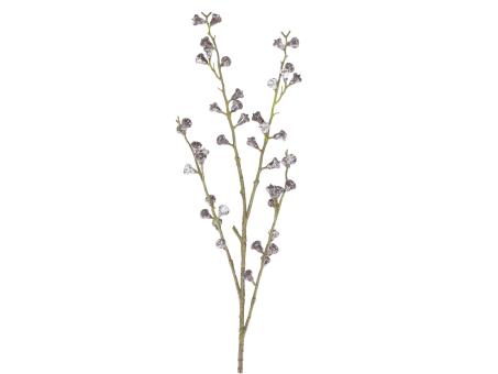 Zweig Eucalyptus Fruchtstand L90cm