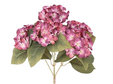 Hortensie Bush x5 L40cm