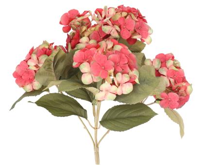 Hortensie Bush x5 L40cm
