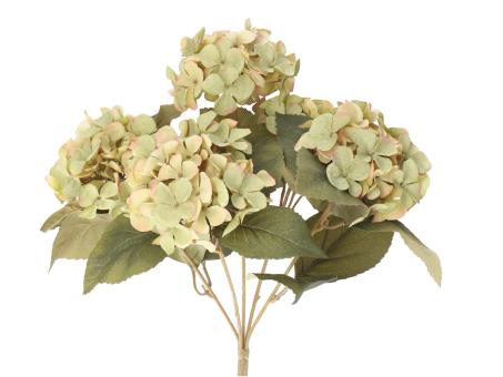 Hortensie Bush x5 L40cm