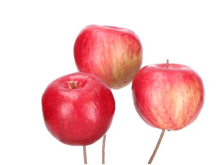 Apfel Deko am Stick D3,5 L12cm