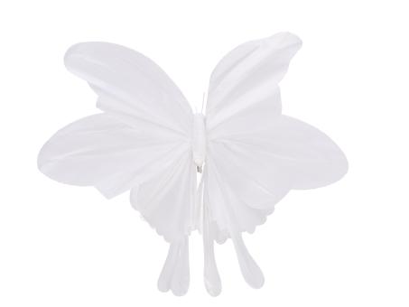 Schmetterling Papier m Clip B45 H30cm