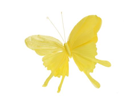 Schmetterling Papier m Clip B45 H30cm