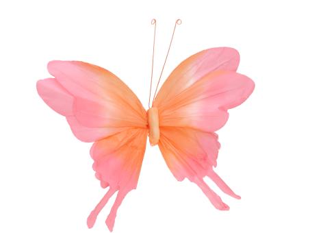 Schmetterling Papier m Clip 3farbig B45 H30cm