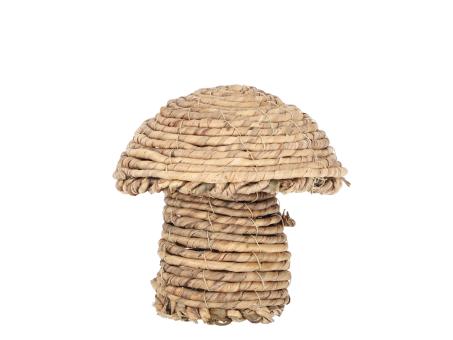 Pilz Wasserhyazinthe z Stellen 