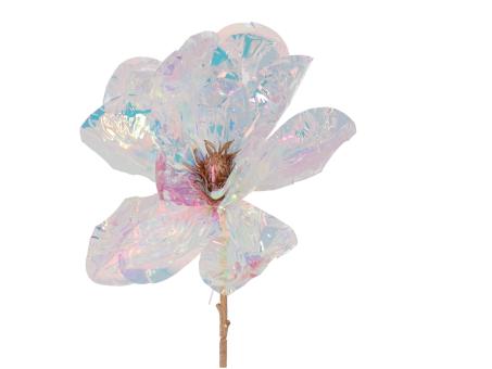 Magnolie KST transparent shiny L72 D20cm