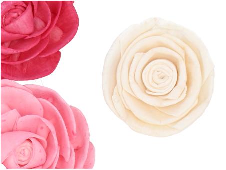 Rosenkopf Solablüte am Draht 2 Fb sort D6 Draht L20cm