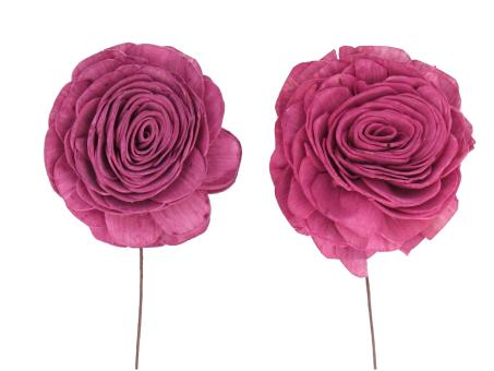 Rose Beauty Solablüte am Draht 2 Fb sort D8 Draht L20cm
