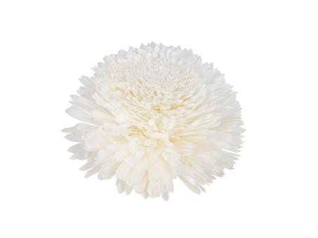 Dekostar Solablüte am Draht extra weiß 