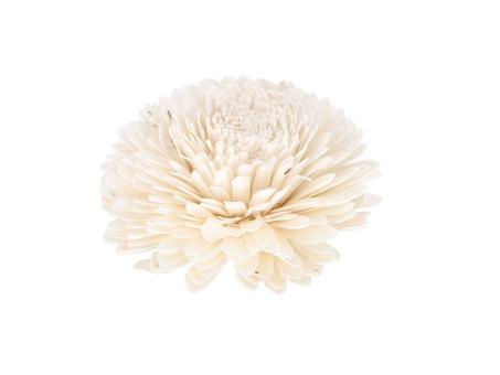 Dekostar Solablüte am Draht D15 Draht L20cm