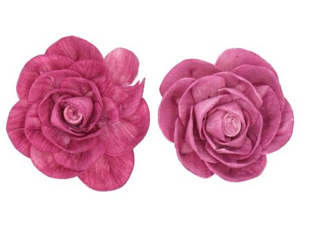 Camelia Solablüte am Draht 2 Fb sort D8 Draht L20cm