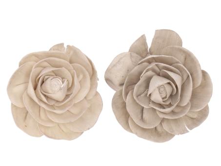 Camelia Solablüte am Draht 2 Fb sort D8 Draht L20cm