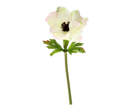 Anemone L58cm