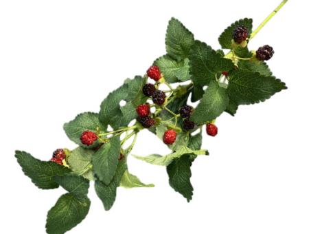 Zweig Brombeere x4 L76cm