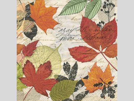 Servietten Herbst 33x33cm 20St 33X33cm