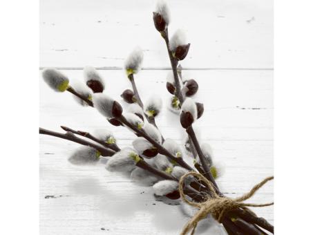 Servietten Ostern  33x33cm 20St 33x33cm