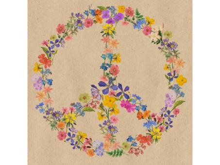 Servietten BY NATURE 33x33cm 20St peace plastikfrei verpackt
 33x33cm