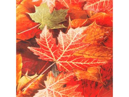 Servietten 33x33cm 20St 33X33cm