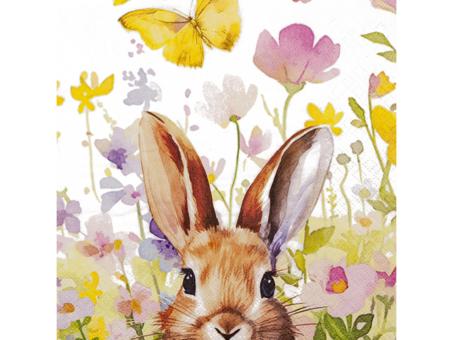 Servietten 33x33cm 20St. 33x33cm