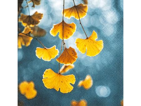 Servietten 33x33cm 20St 33X33cm